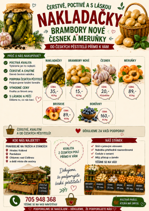 grafika